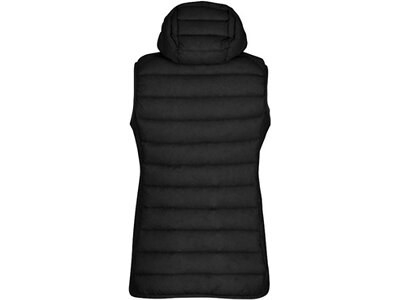 SALEWA Damen Funktionsjacke FANES SARNER RDSDWN W HYB VST. Schwarz