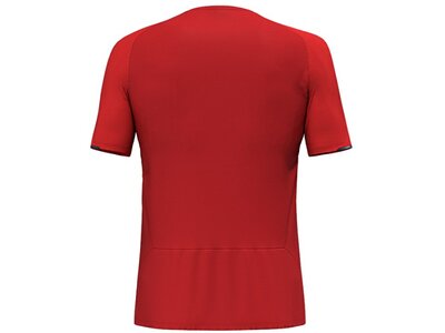 SALEWA Herren Shirt PEDROC PTC DELTA M T-SHIRT Rot