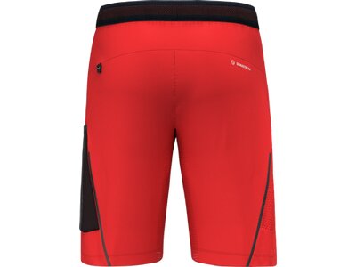 SALEWA Herren Shorts PEDROC 3 DST M CARGO SHORTS Rot