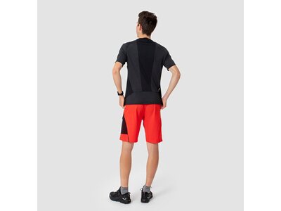 SALEWA Herren Shorts PEDROC 3 DST M CARGO SHORTS Rot