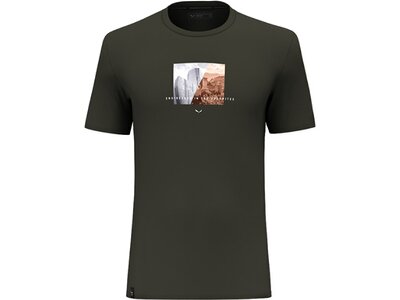 SALEWA Herren Shirt PURE DESIGN DRY T-SHIRT M. Grün