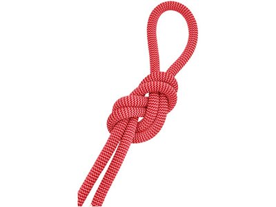 SALEWA Bergseil Red 9,6 Mm Rope Rot