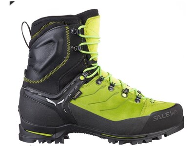 SALEWA Herren Schalenbergstiefel MS VULTUR EVO GTX Grau