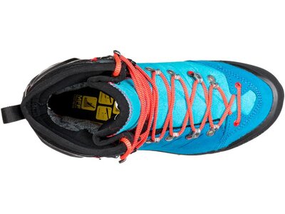 SALEWA Damen Bergstiefel WS VULTUR EVO GTX Grau