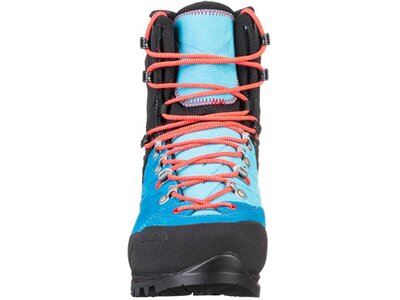 SALEWA Damen Bergstiefel WS VULTUR EVO GTX Grau