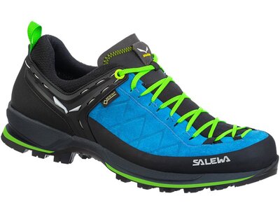 SALEWA Herren Leichtwanderschuh "MTN Trainer 2 GTX" Schwarz