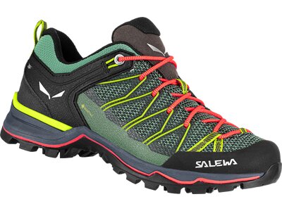 SALEWA Damen Leichtwanderschuhe "Mountain Trainer Lite Gore Tex" Bunt