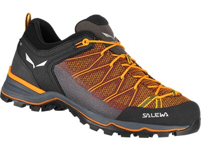 SALEWA Herren Trekkinghalbschuhe TRAINER LITE Bunt