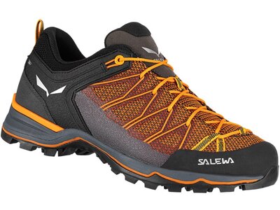 SALEWA Herren Trekkinghalbschuhe TRAINER LITE Bunt