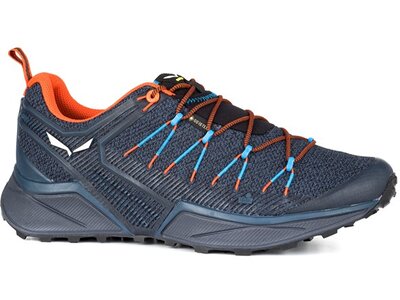 SALEWA Herren Trailrunningschuhe MS DROPLINE GTX Grau