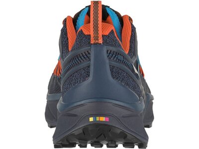 SALEWA Herren Trailrunningschuhe MS DROPLINE GTX Grau