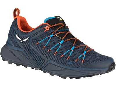 SALEWA Herren Trailrunningschuhe MS DROPLINE GTX Grau