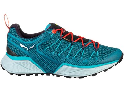 SALEWA Damen Trailrunningschuhe DROPLINE GTX Silber