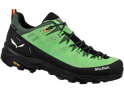 SALEWA Herren Trekkinghalbschuhe ALP TRAINER 2 GTX M Grün