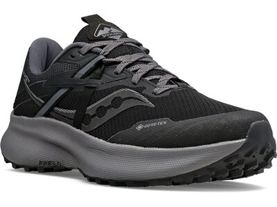 SAUCONY Damen Laufschuhe RIDE 15 TR GTX Schwarz