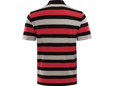 schneider sportswear Herren Leisure Polo SHELDONM Grau