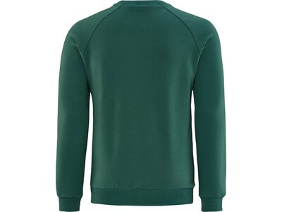 SCHNEIDER SPORTSWEAR Herren Sweatshirt ALFIEM-SWEATSHIRT Grün