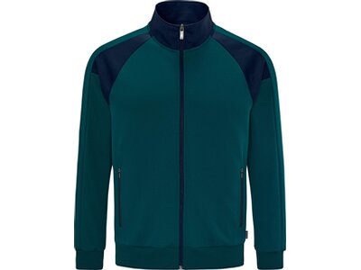 SCHNEIDER SPORTSWEAR Herren Blouson JEROMEM-JACKE Grün