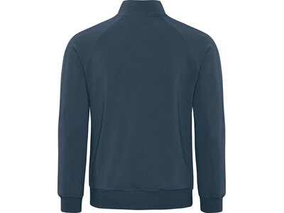 schneider sportswear Herren Sweatshirt IVOM Grau