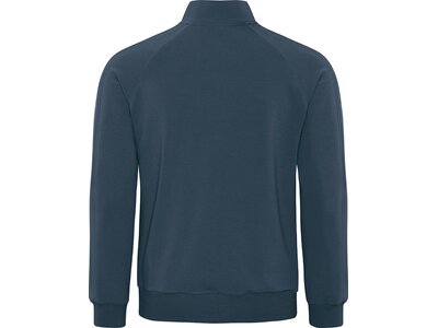 schneider sportswear Herren Sweatshirt IVOM Grau