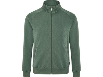 schneider sportswear Herren Blouson KAYM Grün