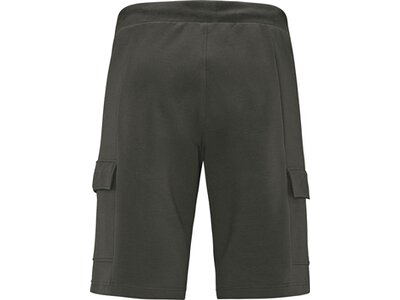 SCHNEIDER SPORTSWEAR Herren Shorts ANDERSONM-SHORTS Grau