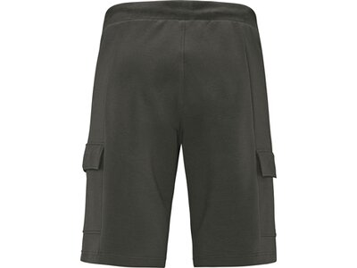 SCHNEIDER SPORTSWEAR Herren Shorts ANDERSONM-SHORTS Grau