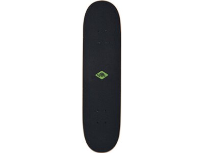 SCHILDKRÖT Skateboard Schildkröt Skateboard Kicker 31, Komplett-Board mit tollen Features für Einste Schwarz