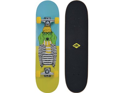 SCHILDKRÖT Skateboard Schildkröt Skateboard Kicker 31, Komplett-Board mit tollen Features für Einste Schwarz