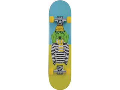 SCHILDKRÖT Skateboard Schildkröt Skateboard Kicker 31, Komplett-Board mit tollen Features für Einste Schwarz