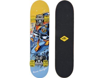 SCHILDKRÖT Skateboard Skateboard JUNIOR 24´ Best Surfer Braun