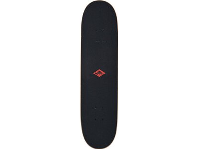 SCHILDKRÖT Skateboard Schildkröt Skateboard Grinder 31, Premium Komplett-Board, konkave Deckform mit Schwarz