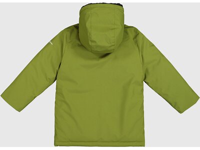 CHAMPION Kinder Jacke Hooded Grün