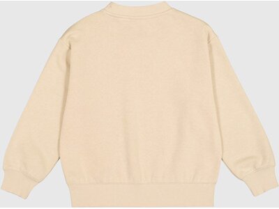 CHAMPION Kinder Sweatshirt Crewneck Braun