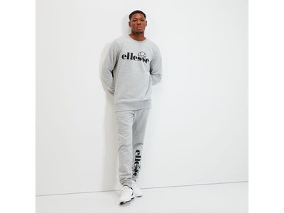 ELLESSE Herren Sweatshirt Bootia Sweatshirt Grau