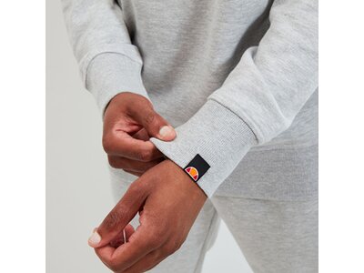 ELLESSE Herren Sweatshirt Bootia Sweatshirt Grau