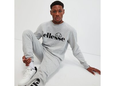 ELLESSE Herren Sweatshirt Bootia Sweatshirt Grau
