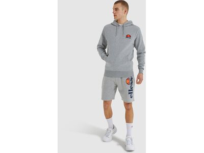 ELLESSE Herren Kapuzensweat Toce OH Hoody Silber