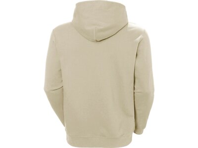 HELLYHANSEN Herren Kapuzensweat CORE HOODIE Braun