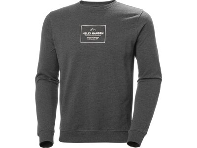 HELLYHANSEN Herren Sweatshirt F2F ORGANIC COTTON SWEATER Grau