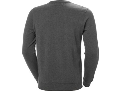 HELLYHANSEN Herren Sweatshirt F2F ORGANIC COTTON SWEATER Grau