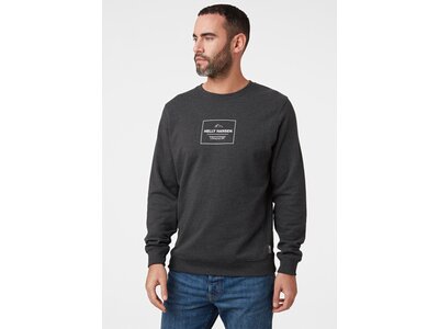 HELLYHANSEN Herren Sweatshirt F2F ORGANIC COTTON SWEATER Grau