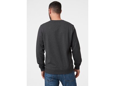 HELLYHANSEN Herren Sweatshirt F2F ORGANIC COTTON SWEATER Grau