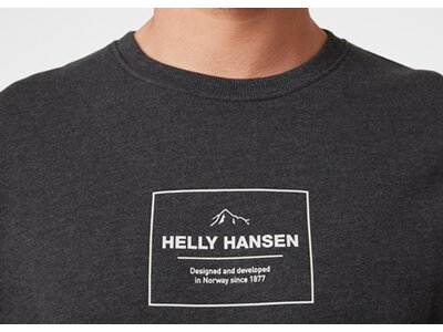 HELLYHANSEN Herren Sweatshirt F2F ORGANIC COTTON SWEATER Grau