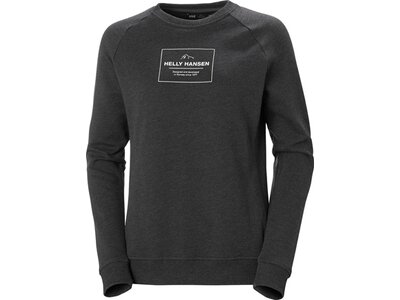 HELLYHANSEN Damen Sweatshirt W F2F ORGANIC COTTON SWEATER Grau