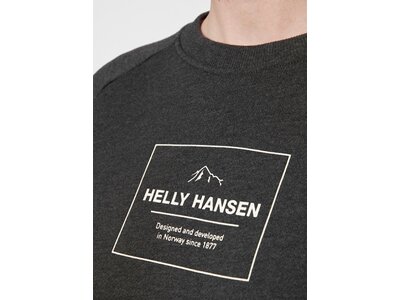 HELLYHANSEN Damen Sweatshirt W F2F ORGANIC COTTON SWEATER Grau