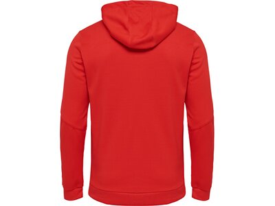 HUMMEL Fußball - Teamsport Textil - Sweatshirts Authentic Poly Kapuzenjacke Rot