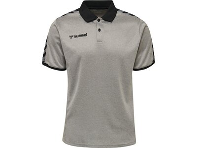 HUMMEL Fußball - Teamsport Textil - Poloshirts Authentic Functional Poloshirt Grau