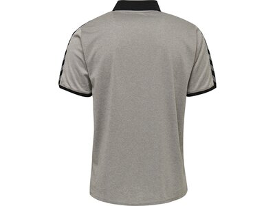 HUMMEL Fußball - Teamsport Textil - Poloshirts Authentic Functional Poloshirt Grau