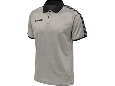 HUMMEL Fußball - Teamsport Textil - Poloshirts Authentic Functional Poloshirt Grau